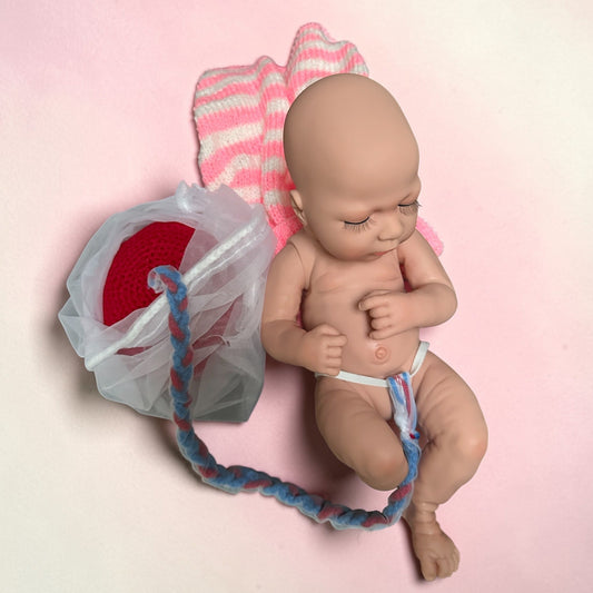 Bebé con placenta, membranas, útero y cordón